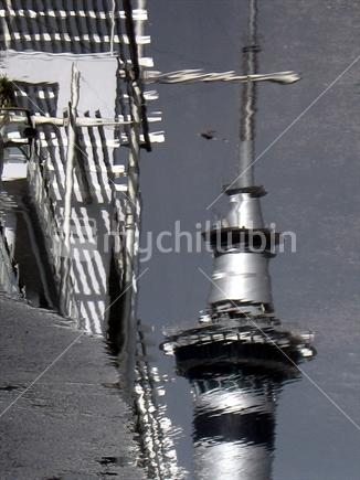 Auckland's Sky Tower reflected