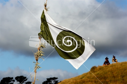 The Koru Flag