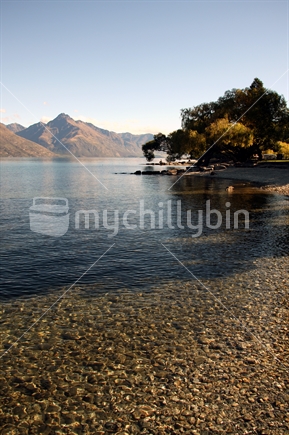 mychillybin - New Zealand's best royalty-free stock image library.