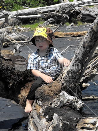 Child sitting on driftwood, looking towards the sea at Mokau