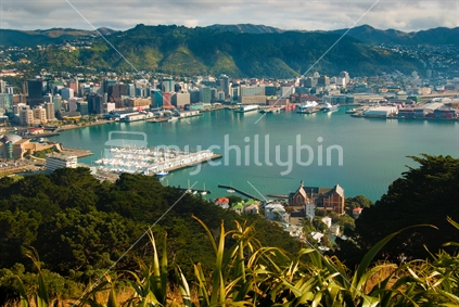 Oriental Bay from Mount Victoria, with Wellington City in the background.