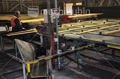 A worker directs freshly sawn Pinus radiata boards through  a sawmill (raised ISO)