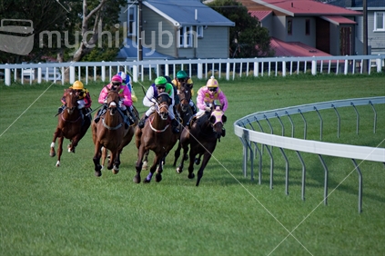 Action shot of horse racing coming around the bend.